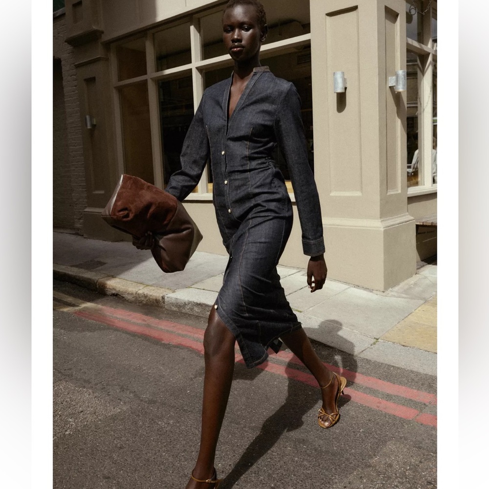 Zara Black Long Sleeve Dress
